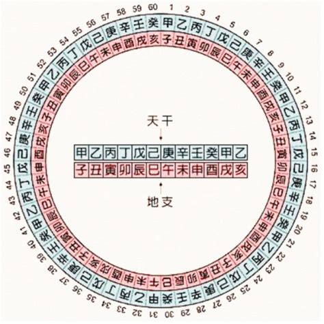 1989 天干地支|天干地支对照表